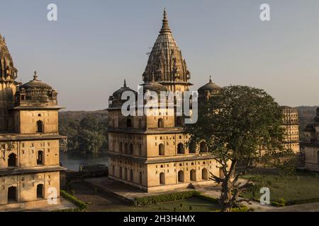 Chhatris à Orcha.Madhya Pradesh, Inde Banque D'Images