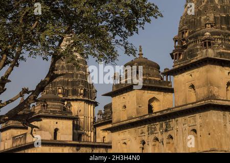 Chhatris à Orcha.Madhya Pradesh, Inde Banque D'Images