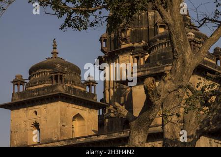 Chhatris à Orcha.Madhya Pradesh, Inde Banque D'Images