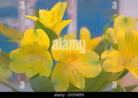 Fleurs d'alstroemeria abstraites.Fleurs jaune vif sur fond bleu et gris Banque D'Images