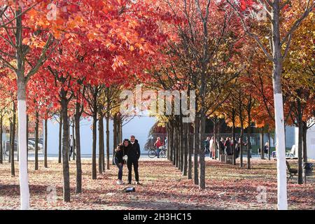 Berlin, Allemagne.28 octobre 2021.Les gens apprécient le paysage d'automne à Berlin, capitale de l'Allemagne, 28 octobre 2021.Credit: Shan Yuqi/Xinhua/Alay Live News Banque D'Images