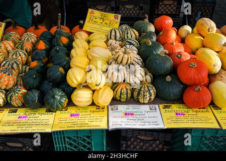 Gourdes, citrouilles, escashes et abondance d'autres produits frais cultivés localement offerts par les agriculteurs au marché Union Square à New York. Banque D'Images