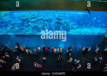 Le plus grand aquarium du monde dans le centre commercial de Dubaï Banque D'Images