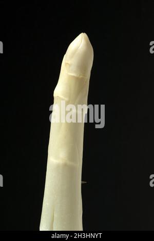 Pointes d'asperges, blanches, Banque D'Images