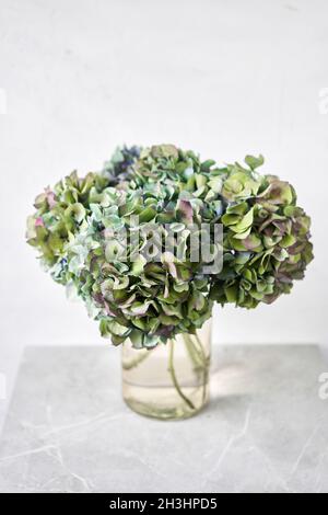 Bouquet de fleurs vertes et bleues.Belle hortensia fleurs dans un vase sur une table.Décoration de la maison.Fond d'écran et arrière-plan. Banque D'Images