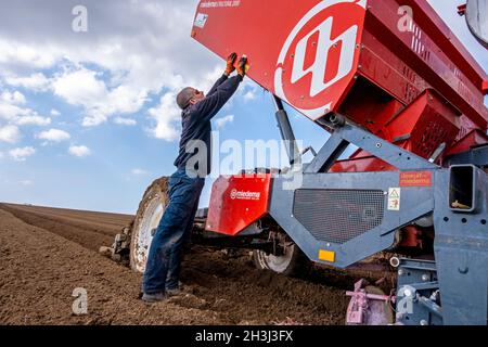 Chargement des pommes de terre dans un récipient au kibbutz de Yad Mordechai dans la région de Hof Ashkelon, dans le sud d'Israël Banque D'Images