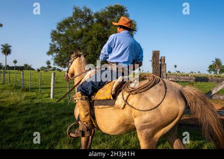 Gaucho travaille sur une ferme à Santiago, au Paraguay. Banque D'Images