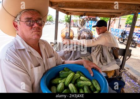 Un agriculteur mennonite transporte des concombres sur le marché de San Ignacio Guazu, au Paraguay Banque D'Images