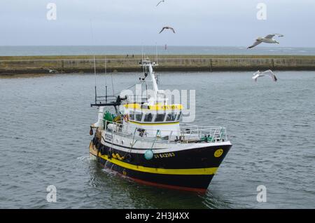 Bretagne, France.02 août 2017.Le chalutier français a vu entrer dans le port du Guilvinec en Bretagne à son retour de la pêche pour amener le poisson aux enchères.la France menace le Royaume-Uni de représailles dans son différend sur les quotas de pêche.Les pêcheurs français exigent que le gouvernement britannique respecte ses engagements d'accorder l'accès aux eaux britanniques négociées dans le cadre du Brexit.Crédit : SOPA Images Limited/Alamy Live News Banque D'Images