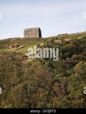 Grange traditionnelle en pierre au sommet d'une colline, unique à Swaledale, parc national de Yorkshire Dales, Richmondshire, North Yorkshire, Angleterre Banque D'Images