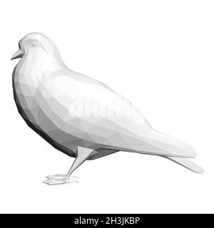 Pigeon gris bas isolé sur fond blanc.3D.Illustration vectorielle Illustration de Vecteur