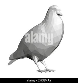 Pigeon gris bas isolé sur fond blanc.3D.Illustration vectorielle Illustration de Vecteur