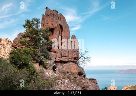 Deux chèvres debout sur un éperon rocheux dans les Calanches de Piana, un site classé au patrimoine mondial de l'UNESCO sur la côte ouest de la Corse Banque D'Images