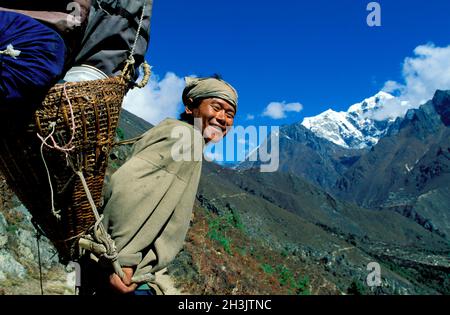 Népal, région du Khumbu, région de l'Everest - Porteur de trekking Banque D'Images