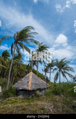 Petite maison avec toit de chaume entre palmiers Banque D'Images