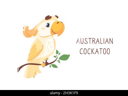 vector australian cockatoo assis sur une branche.Perroquet lumineux drôle, le ciel bleu et les nuages.Joli oiseau de personnage, illustration dans un style plat.Arrière-plan isolé. Illustration de Vecteur