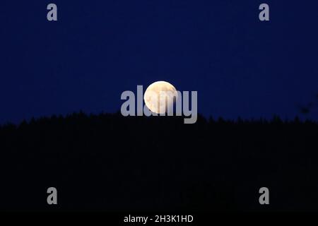 éclipse lunaire partielle dans la Forêt Noire supérieure Banque D'Images