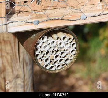 Insektenhotels dienen Insekten, vor allem Wildbienen, als Unterschlupf und Brutstaette. Les hôtels d'insectes servent d'insectes, surtout les abeilles sauvages, comme abri Banque D'Images
