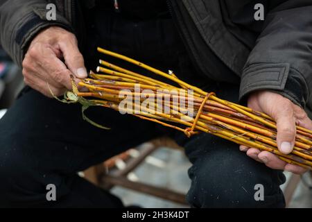 Italie , Lombardie, Craftsman faire un panier en osier Banque D'Images