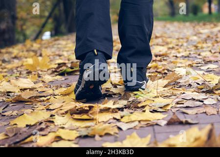 L'homme marche dans le parc d'automne.Vue de dessus de randonnée Boot sur le sentier.Jambes en gros plan en Jean et chaussures de randonnée sport en forêt. Banque D'Images