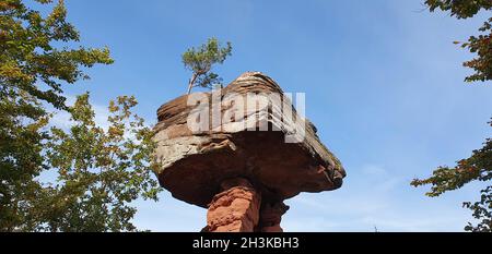 Hinterweidenthal Allemagne octobre 2021 formation de grès Table du diable dans la forêt du Palatinat dans beau temps d'automne avec ciel bleu Banque D'Images