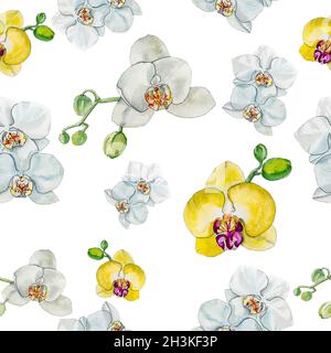 Belle aquarelle avec motif fleurs d'orchidées. Banque D'Images