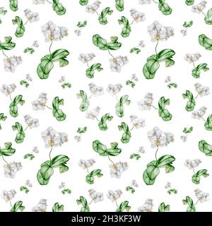 Modèle d'une orchidée blanche en fleurs. Banque D'Images