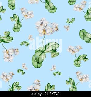Motif aquarelle avec orchidées de fleurs et de feuilles. Banque D'Images