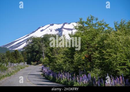 Regardez le volcan Lonquimay au Chili Banque D'Images