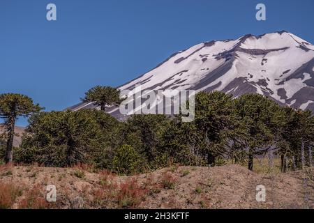 Grand volcan au chili Banque D'Images
