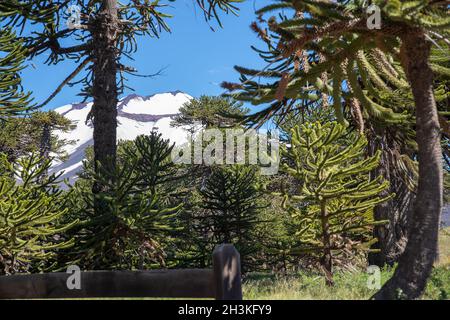 Regardez le volcan au Chili Banque D'Images