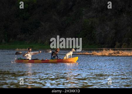 Les kayakistes et leur chien pagayer sur la rivière Gannel pendant que le soleil se couche à Newquay, dans les Cornouailles. Banque D'Images