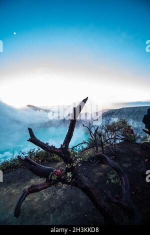 Arbres morts dans le volcan Ijen avec le lac acide, Java Banque D'Images