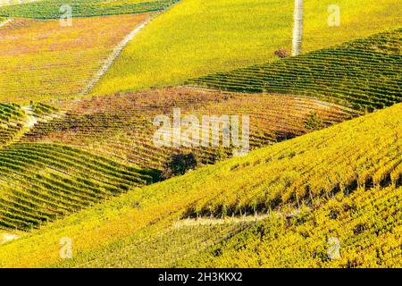 Le paysage viticole autour de la ville de Barbaresco, région Piémont, Italie.Barbarresco est un vin italien fait avec le raisin Nebbiolo, est classé comme Banque D'Images