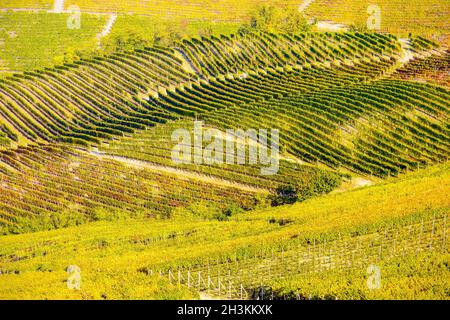 Le paysage viticole autour de la ville de Barbaresco, région Piémont, Italie.Barbarresco est un vin italien fait avec le raisin Nebbiolo, est classé comme Banque D'Images