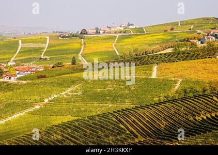 Le paysage viticole autour de la ville de Barbaresco, région Piémont, Italie.Barbarresco est un vin italien fait avec le raisin Nebbiolo, est classé comme Banque D'Images