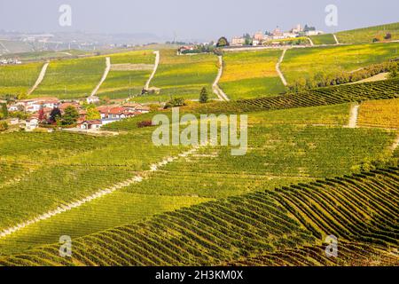 Le paysage viticole autour de la ville de Barbaresco, région Piémont, Italie.Barbarresco est un vin italien fait avec le raisin Nebbiolo, est classé comme Banque D'Images