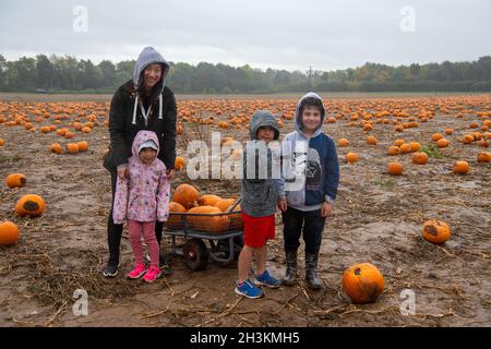 Cookham, Berkshire, Royaume-Uni.29 octobre 2021.Malgré la pluie et le vent, les enfants et leurs familles appréciaient les vacances scolaires se préparer pour Halloween en cueillant des citrouilles cultivées à la ferme Copas de Cookham, dans le Berkshire.cette année, 25,000 citrouilles ont été cultivées à la ferme pour la première fois.Crédit : Maureen McLean/Alay Live News Banque D'Images