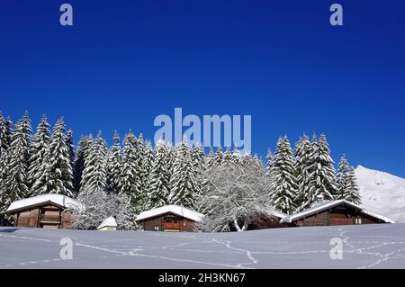 FRANCE.HAUTE SAVOIE (74) STATION DE SKI DE PRAZ DE LYS EN HIVER, VALLÉE DU HAUT-GIFFRE Banque D'Images