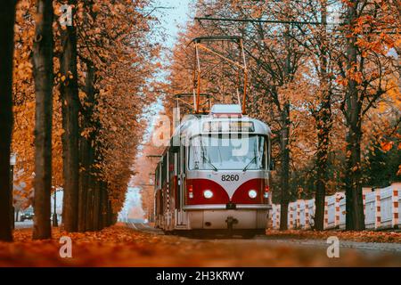 Tram de Prague sur une section unique de la ligne de tram qui est une attraction touristique populaire à Prague, en particulier en automne, à Prague, République tchèque, octobre Banque D'Images