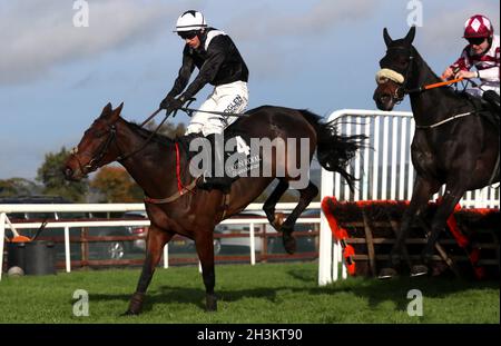 Imperméable et envahissant par le jockey Brian Hayes sur le chemin de gagner l'Irish Stallion Farms EBF Mares Novice hdle pendant la première journée du Ladbrokes Festival of Racing à l'hippodrome de Down Royal, Lisburn.Date de la photo: Vendredi 29 octobre 2021. Banque D'Images
