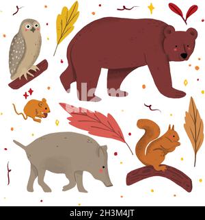 dessin à la main animaux de forêt ensemble vecteur dessin illustration Illustration de Vecteur