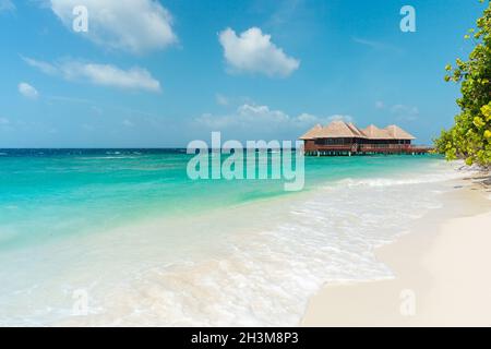 Paradis plage scène avec sable blanc, océan, et l'eau bungalows, Maldives Banque D'Images