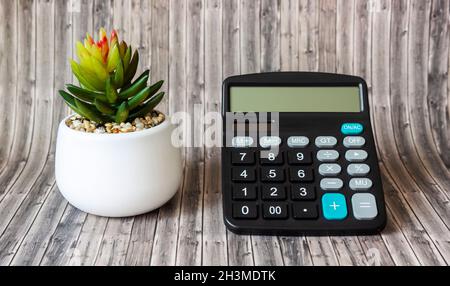 calculatrice avec cactus dans un pot sur fond de bois.Vue de dessus.Minimalisme Banque D'Images