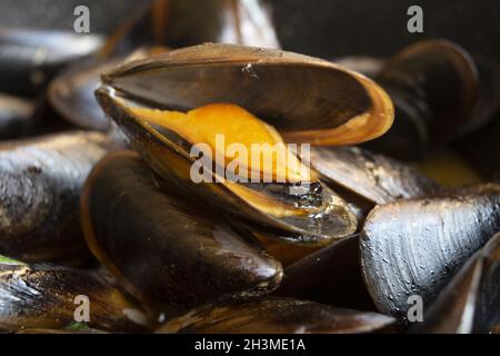 moules cuites à la vapeur au poivre ou à la pata di cozze Banque D'Images