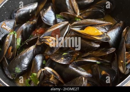 moules cuites à la vapeur au poivre ou à la pata di cozze Banque D'Images