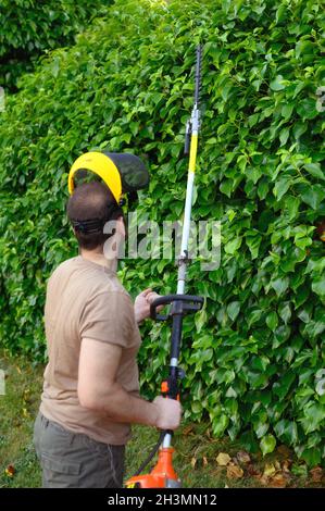 Jardinier tailler hedgerow dans un parc de jardin en plein air Banque D'Images