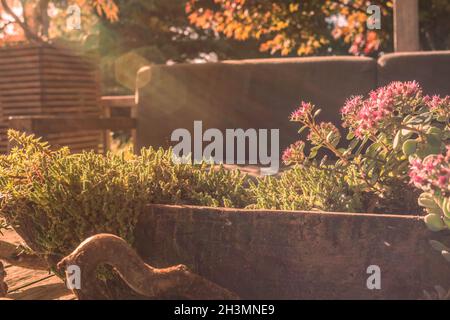 Coin salon dans le jardin asiatique Banque D'Images