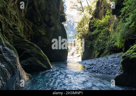 Gorge Étroite Avec Cascade, Wilson Creek, Haast Pass, Côte Ouest, Île Du Sud, Nouvelle-Zélande Banque D'Images