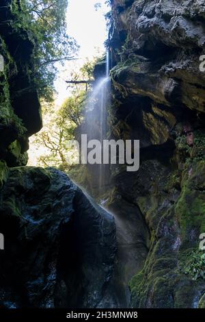 Gorge Étroite Avec Cascade, Wilson Creek, Haast Pass, Côte Ouest, Île Du Sud, Nouvelle-Zélande Banque D'Images